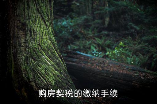 如何繳納契稅，購(gòu)房契稅的繳納手續(xù)