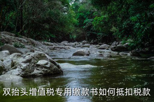代理進(jìn)口雙抬頭增值稅如何抵扣，海關(guān)稅單雙抬頭 增值稅抵扣問題