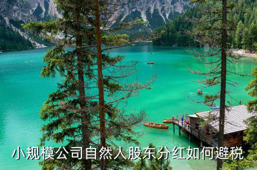 法人股東分紅如何避稅，小規(guī)模公司自然人股東分紅如何避稅