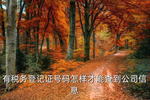 如何查詢公司稅務(wù)信息，怎么用稅證號碼查詢企業(yè)信息