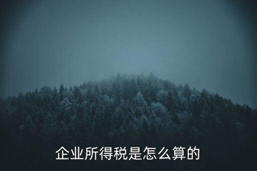 公司所得稅如何計(jì)算，企業(yè)所得稅該怎么計(jì)算