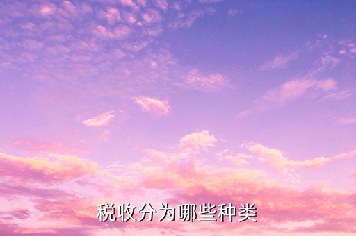 如何對稅收進行分類，我國的稅收分類方式主要有哪些