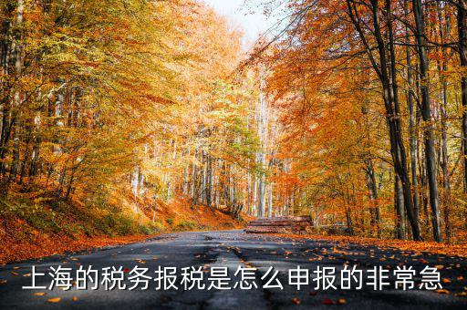 上海市國(guó)地稅如何申報(bào)，上海地稅是網(wǎng)上報(bào)稅嗎采取什么方式申報(bào)