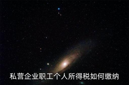 私營企業(yè)職工個(gè)人所得稅如何繳納