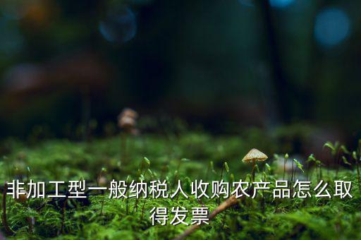 農(nóng)產(chǎn)品收購發(fā)票如何，農(nóng)產(chǎn)品收購發(fā)票如何開