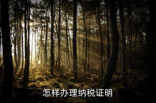 廈門如何做假的納稅證明，怎樣辦理納稅證明