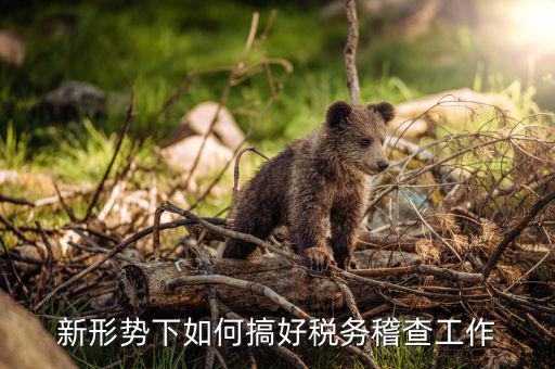 如何完善稅務(wù)一級稽查工作，新形勢下如何搞好稅務(wù)稽查工作