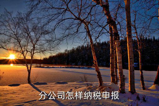 如何申報分公司所得稅，分公司的所得稅怎么報