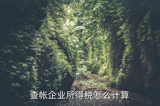 企業(yè)所得稅如何查賬，企業(yè)所得稅計(jì)算 查賬法