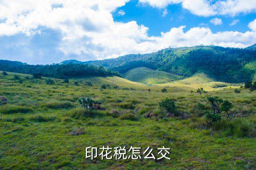 個(gè)人如何繳納印花稅，印花稅怎么交