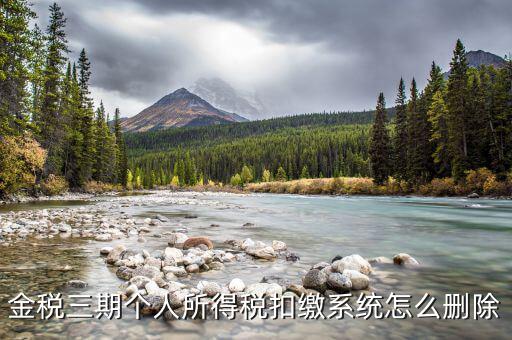 金稅三期個稅如何卸載，金稅三期個人所得稅扣繳系統(tǒng)怎么刪除