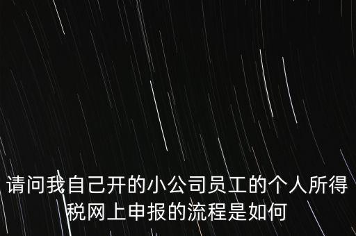 請(qǐng)問(wèn)我自己開的小公司員工的個(gè)人所得稅網(wǎng)上申報(bào)的流程是如何