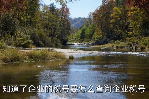 國際企業(yè)稅號如何查詢系統(tǒng)，美國客戶的稅號怎么網(wǎng)上查嗎
