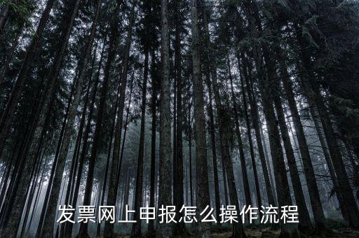 如何國稅局網(wǎng)上申請開票，如何登錄稅務(wù)網(wǎng)上開票