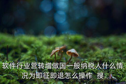 即征即退政策如何辦理，軟件行業(yè)營轉(zhuǎn)增做國一般納稅人什么情況為即征即退怎么操作  搜