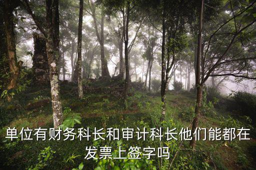發(fā)票報銷領(lǐng)導如何批示，有發(fā)票怎么報銷