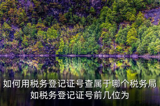 如何用稅務登記證號查屬于哪個稅務局如稅務登記證號前幾位為