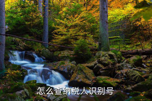 如何查詢個(gè)人納稅人識(shí)別號(hào)，納稅人識(shí)別號(hào)查詢