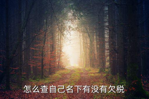 如何查欠稅記錄，怎么查個人有沒有欠稅