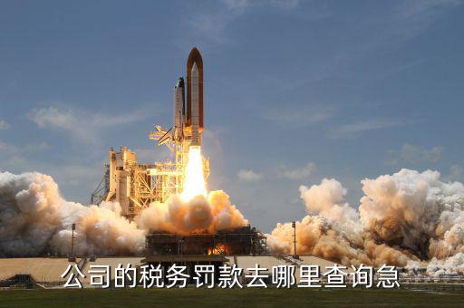 如何查稅收罰款，公司的稅務(wù)罰款去哪里查詢急