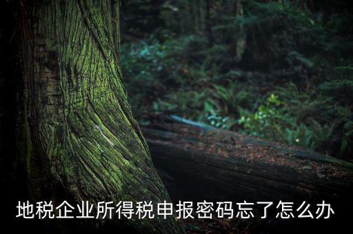 南京地稅密碼如何重置，個人所得稅忘記密碼之后如何進行重置呢