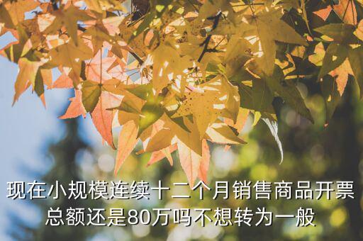 財稅2018 80號如何解讀，現在小規(guī)模連續(xù)十二個月銷售商品開票總額還是80萬嗎不想轉為一般