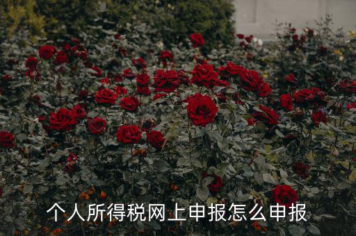福建個(gè)人納稅如何申報(bào)，個(gè)人所得稅網(wǎng)上申報(bào)怎么申報(bào)