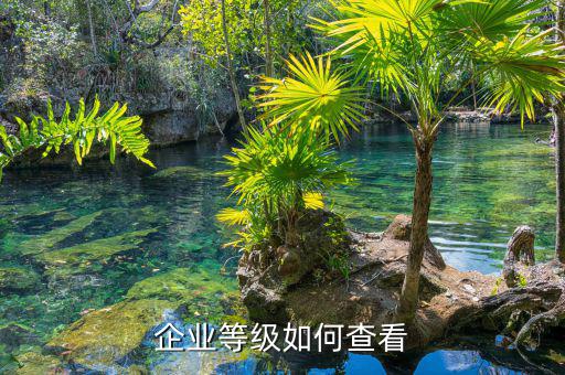 如何查納稅信用等級，企業(yè)納稅信用等級有何用處
