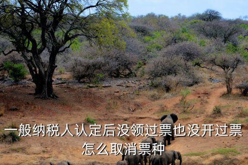 如何取消發(fā)票票種核定，一般納稅人認(rèn)定后沒(méi)領(lǐng)過(guò)票也沒(méi)開(kāi)過(guò)票怎么取消票種