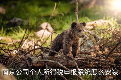 如何安裝金稅三期個稅安裝包，金稅三期在哪里下載