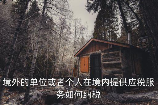 境外機(jī)構(gòu)如何繳納增值稅，來(lái)源于境外收入怎么交增值稅