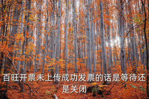 百旺未上傳發(fā)票如何上傳，百旺開票軟件怎么查詢發(fā)票是否已上傳