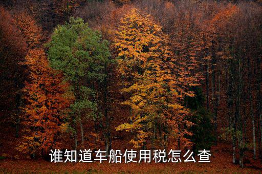 如何查詢自己交車船稅，車船稅交沒交能在網(wǎng)上查詢嗎