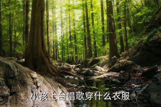 如何稅服小孩上臺(tái)表演，小孩上臺(tái)唱歌穿什么衣服