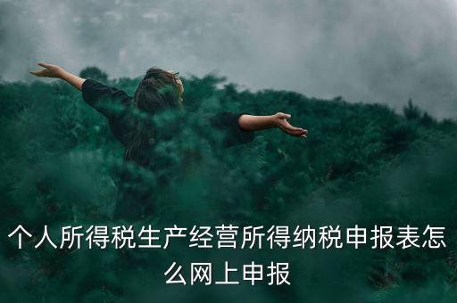 生產(chǎn)經(jīng)營所得如何網(wǎng)上申報(bào)，個(gè)體工商戶網(wǎng)上申報(bào)怎么做