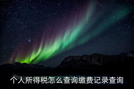 金稅三期個人所得稅如何查詢，個人所得稅怎么查詢繳費(fèi)記錄查詢