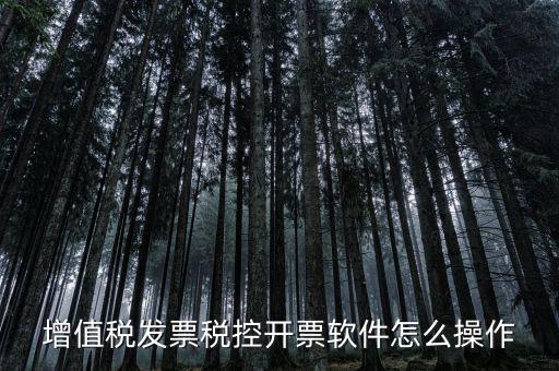 百望開票軟件如何開票，百望開票系統(tǒng)發(fā)票抬頭有符號(hào)怎么打