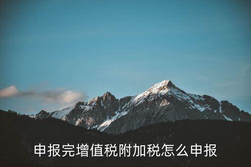 附加稅在國家稅務(wù)局網(wǎng)如何申報(bào)表，網(wǎng)上申報(bào)城建稅教育附加稅怎么填