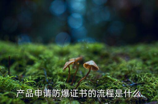 如何辦理防爆用地，產(chǎn)品辦理防爆認(rèn)證流程有哪些