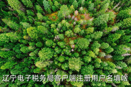 如何注冊社保電子稅務(wù)局賬號，遼寧電子稅務(wù)局客戶端注冊用戶名填啥