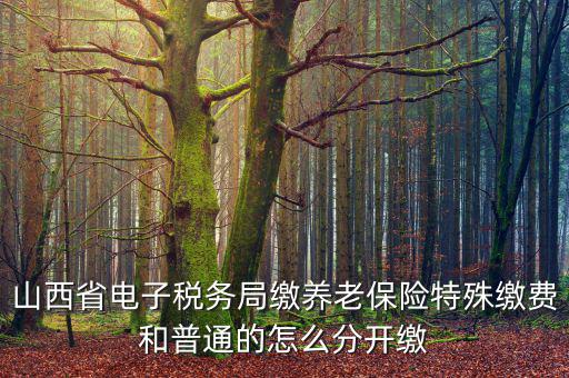 山西養(yǎng)老保險如何和國稅局對接，交養(yǎng)老保險交到國家稅務(wù)總局怎么辦