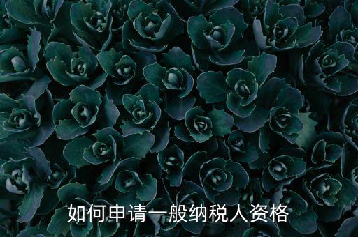 一般納稅人如何申請B級，一般納稅人B類企業(yè)如何申報(bào)企業(yè)所得稅