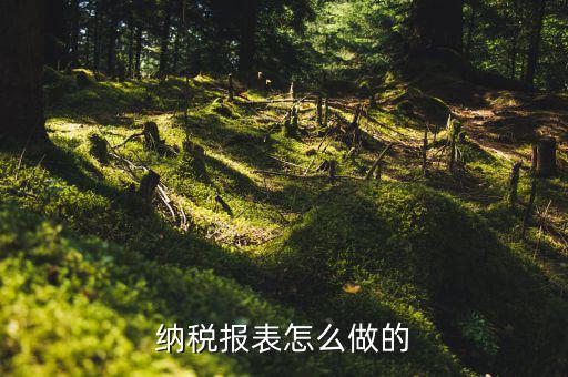 如何做數(shù)據(jù)報稅，在開普票里每月1號申報數(shù)據(jù)具體怎么弄的先點擊報稅再點