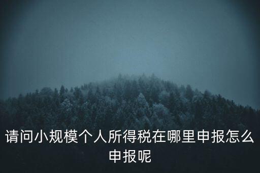 如何申報(bào)自然人兩處所得，請(qǐng)問小規(guī)模個(gè)人所得稅在哪里申報(bào)怎么申報(bào)呢