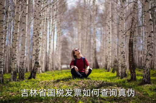 吉林省發(fā)票如何查真假，吉林省國稅發(fā)票如何查詢真?zhèn)?/></a></span><span id=