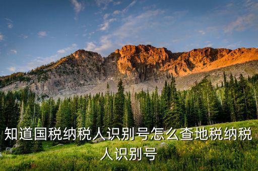 如何上國稅網查納稅人信息，怎樣查詢國稅繳稅信息