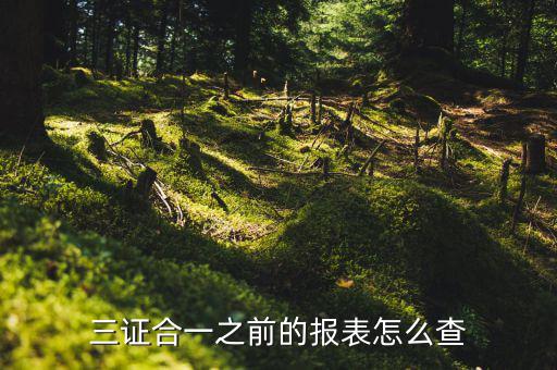 如何查三證合一之前的國稅數(shù)據(jù)，三證合一之前的報(bào)表怎么查