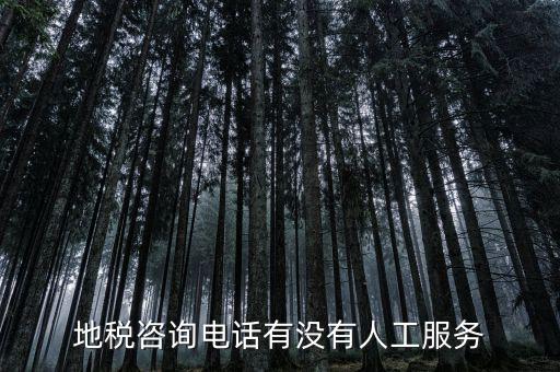 北京12366如何轉(zhuǎn)人工，我有關(guān)于北京稅務的問題因為很復雜你們有沒有電話可以直接溝通