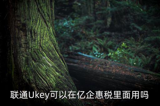 億企惠稅如何填報，聯(lián)通硬證書里面還贈送的其他產(chǎn)品是什么怎么用
