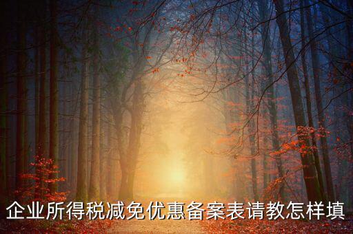 企業(yè)所得優(yōu)惠備案如何，企業(yè)所得稅減免優(yōu)惠備案表請教怎樣填